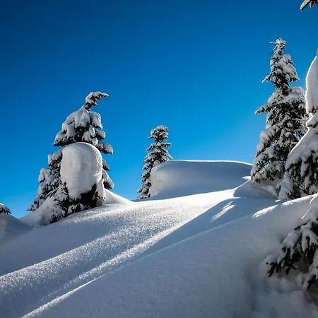 리조트 Chalet-hotel Borgo Eibn Mountain Lodge, The Originals Relais 5*