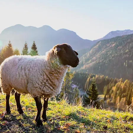 Station touristique Chalet-hotel Borgo Eibn Mountain Lodge, The Originals Relais 5*