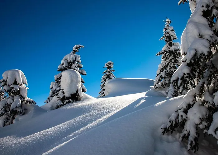 Rezort Chalet-hotel Borgo Eibn Mountain Lodge, The Originals Relais 5*