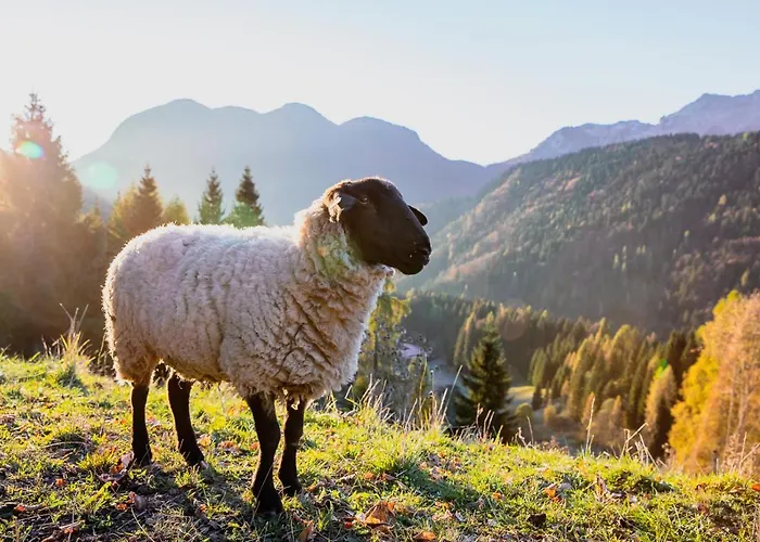 Rezort Chalet-hotel Borgo Eibn Mountain Lodge, The Originals Relais 5*